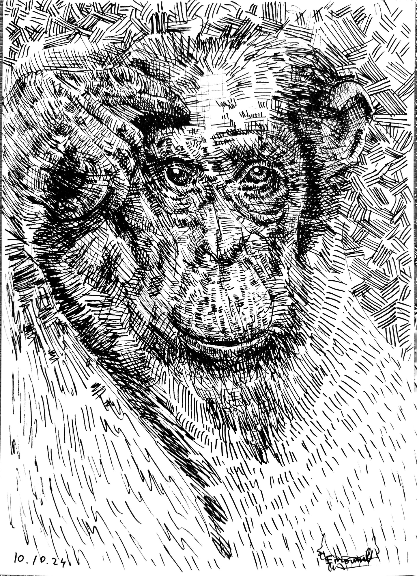 Primal Gaze