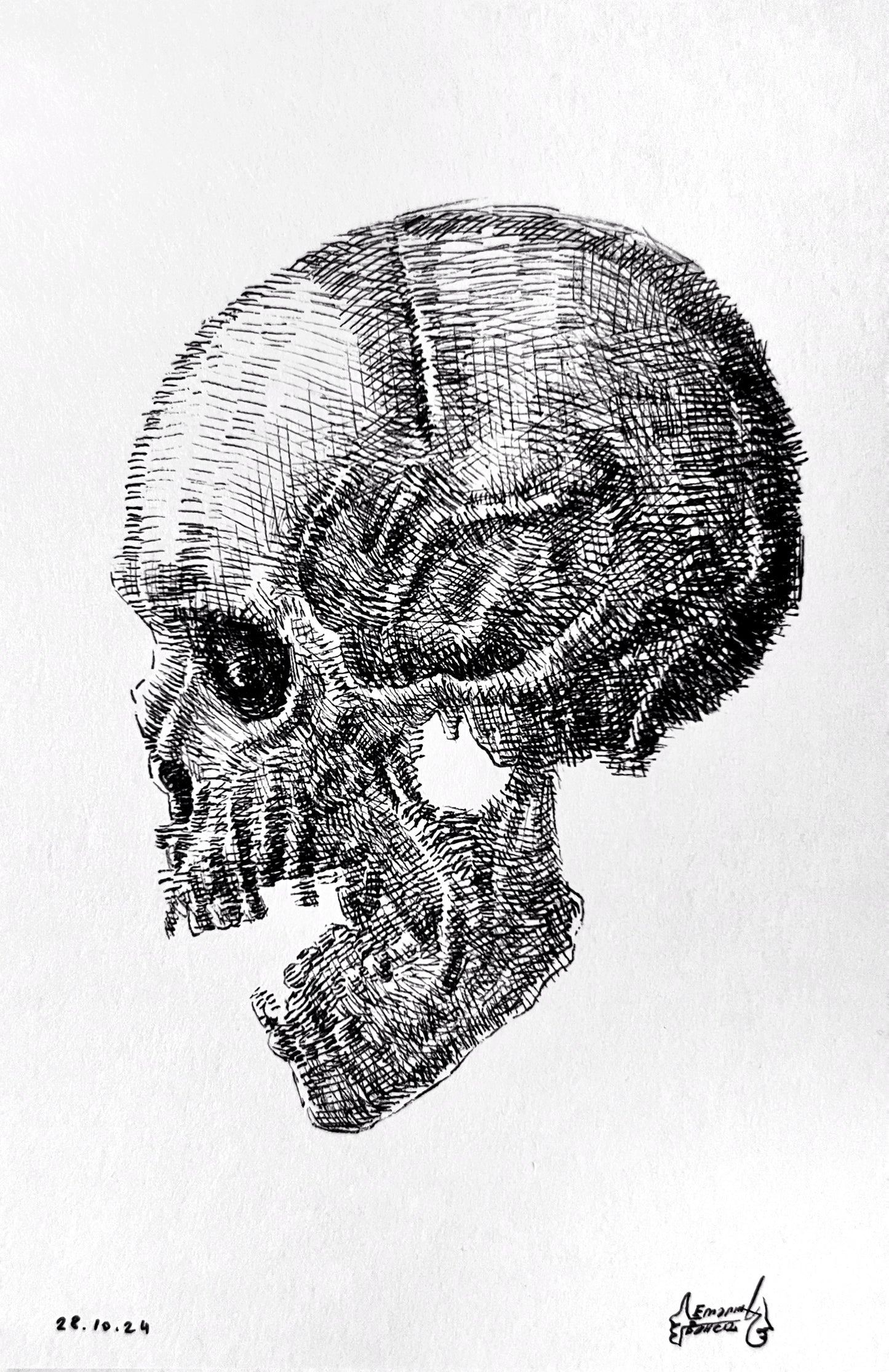 The Scholar of Mortality