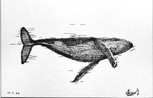 The Dance of the Whale